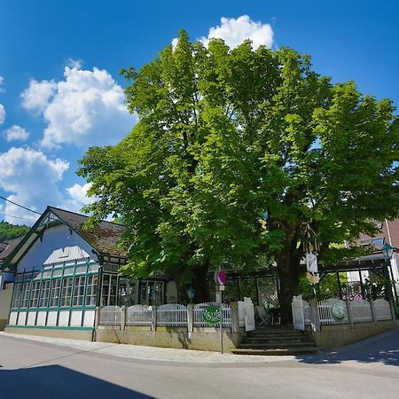 Apartment Welser Ybbsitz Экстерьер фото